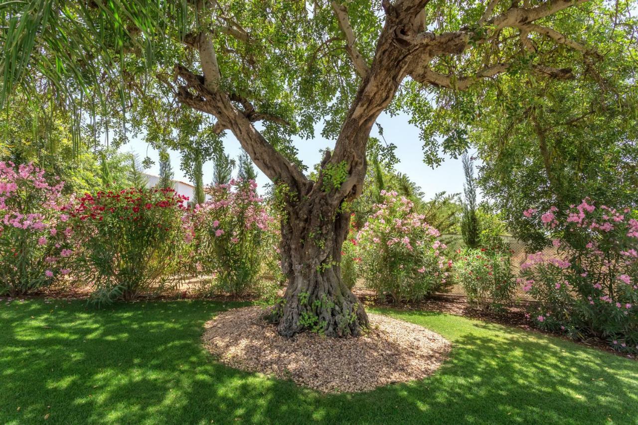 Family Country House Faro Exterior photo
